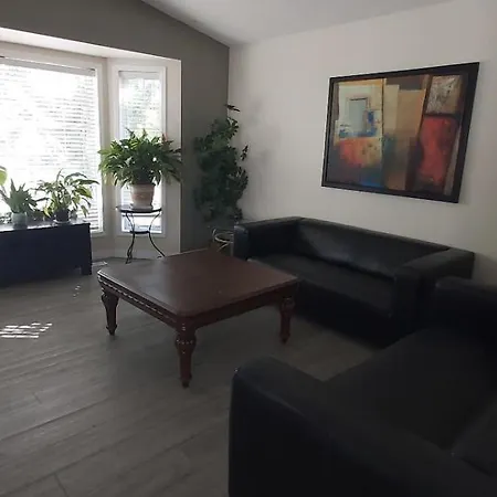 Private Rooms In A 3 Bedroom Guest House Close To Londonderry Mall 1 Person Per Room No Couples For Men Only-3